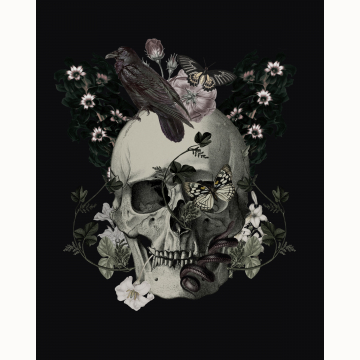 8x10 Skull & Flowers