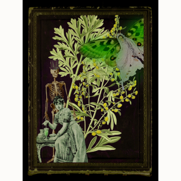 8x10 La Fée Verte “The Green Fairy” Print