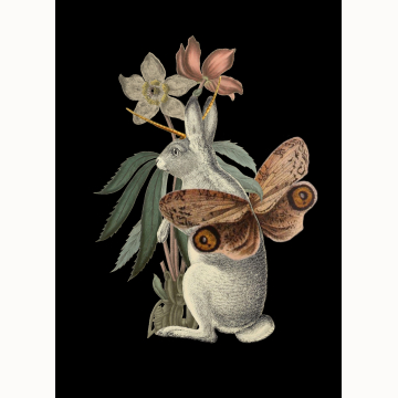 8x10 Papilio Jackalope Creepture Print