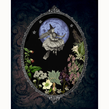 8x10 Flying Potion Print