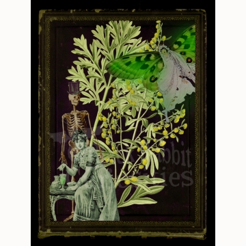5x7 La Fée Verte “The Green Fairy” Print
