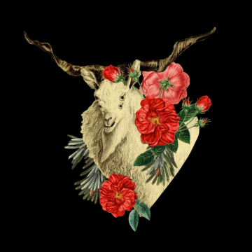 8x8 Quattuor Luscus Capra Print