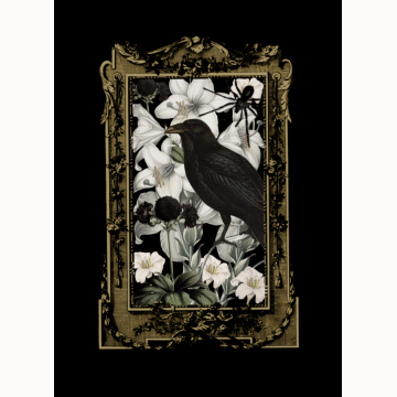 8x10 Raven Print
